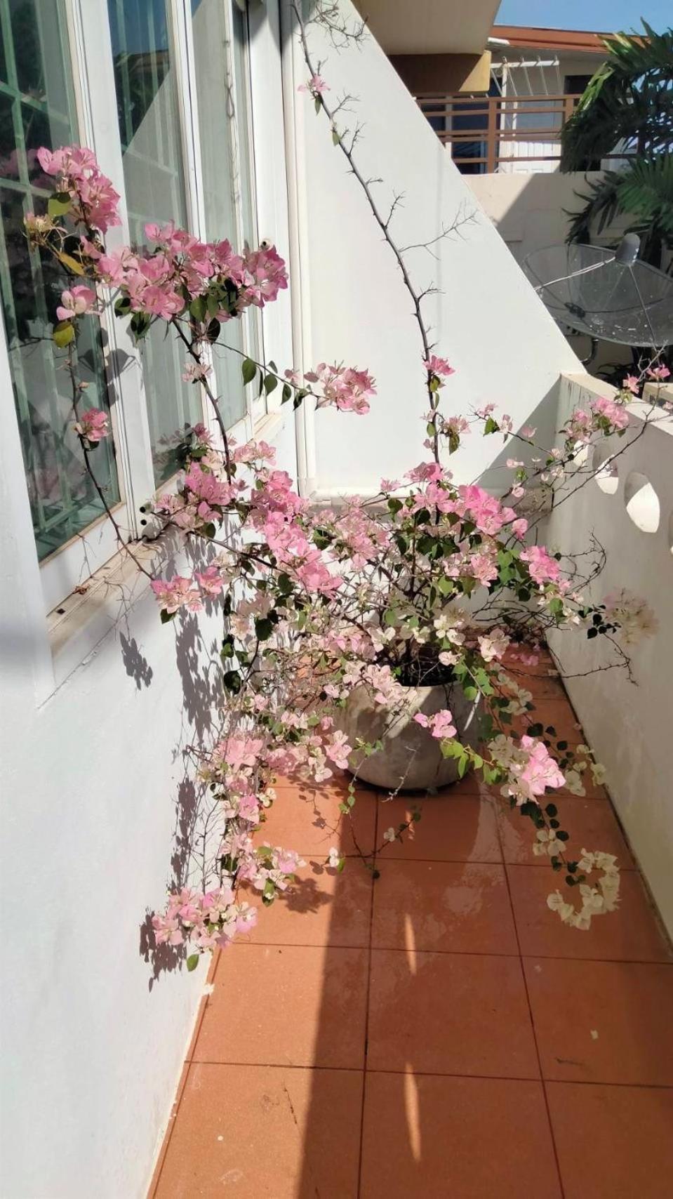 Little Jasmine By The River Phitsanulok Exterior foto